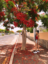 Rear view of woman with autumn leaves on tree