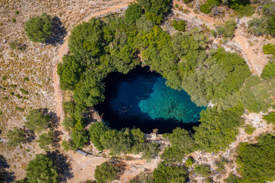 High angle view of trees on land