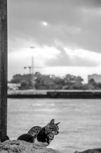 View of statue by river against sky