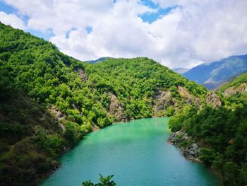 Scenic view of river amidst trees against sky