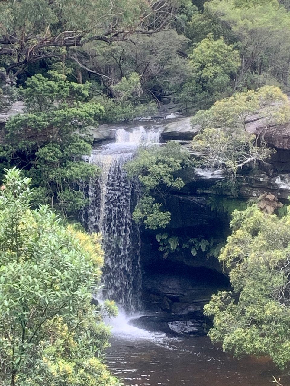 WATER FLOWING THROUGH ROCKS IN FOREST