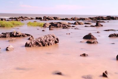 Panoramic view of sea against sky