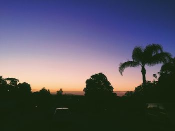 Silhouette trees against clear sky during sunset