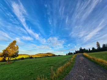 Scenic view of field against sky