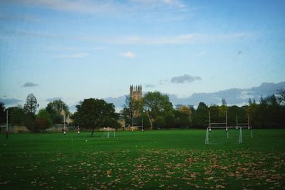 Trees on field against sky