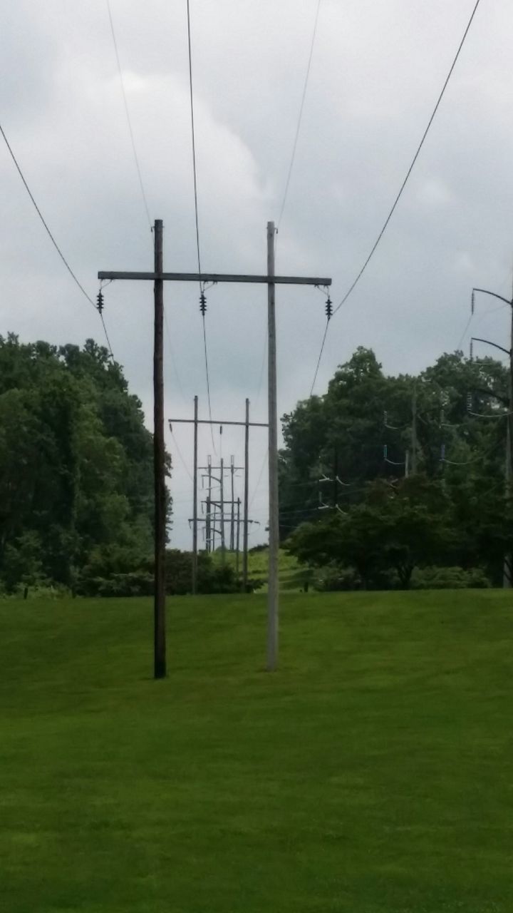 tree, green color, sky, grass, power line, architecture, built structure, electricity pylon, electricity, building exterior, power supply, cloud - sky, cable, connection, fuel and power generation, field, growth, day, cloud, no people