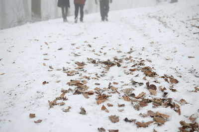 Low section of person standing on snow covered field