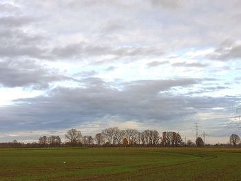 Scenic view of field against sky