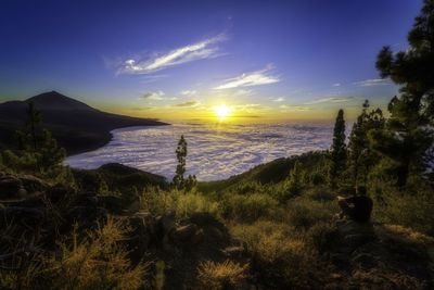 Scenic view of field against sky during sunset