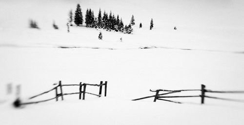 Scenic view of snow covered field