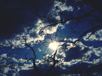Low angle view of trees against sky