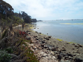 Scenic view of beach against sky