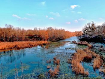 Scenic view of lake in forest against sky