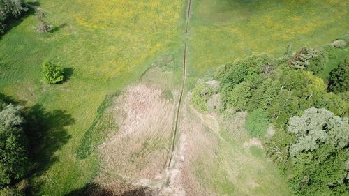 High angle view of road amidst trees