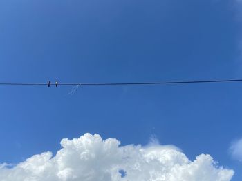 Low angle view of cables against blue sky