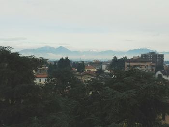 Buildings with trees in background