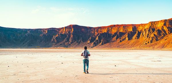 Rear view of man walking at beach against sky