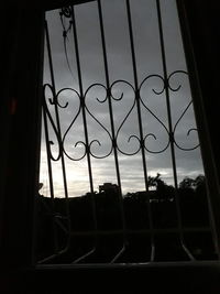 Silhouette of trees seen through window