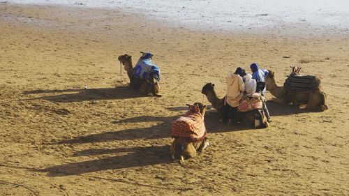 People on beach