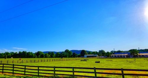 Scenic view of field against blue sky