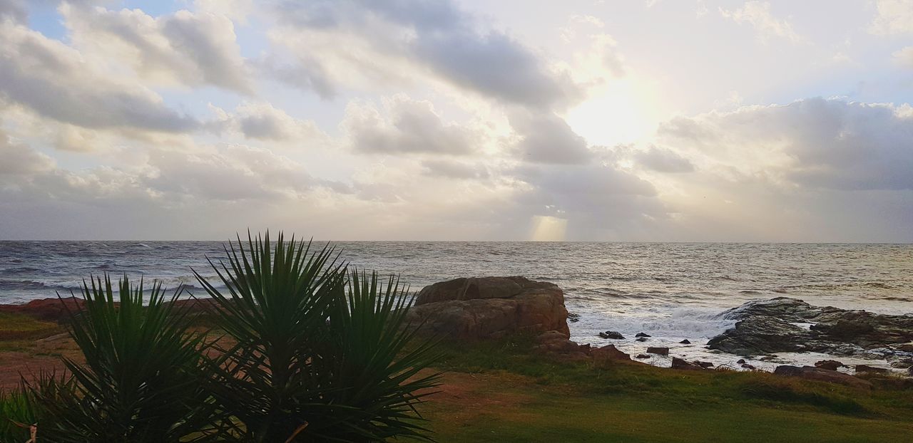 sea, water, sky, scenics - nature, cloud - sky, beauty in nature, beach, horizon, horizon over water, land, tranquility, tranquil scene, nature, no people, idyllic, plant, non-urban scene, outdoors, day