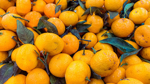 Full frame shot of orange fruit