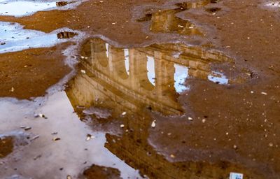 Puddle in winter