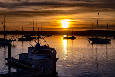 Sailboats moored in marina at sunset