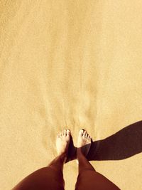 Low section of woman standing on sandy beach during sunny day