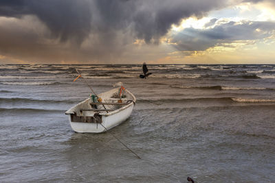 Scenic view of sea against sky during sunset with lonely boat and flying bird