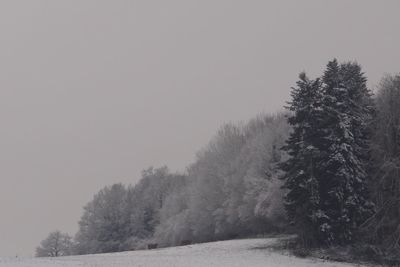 Scenic view of landscape