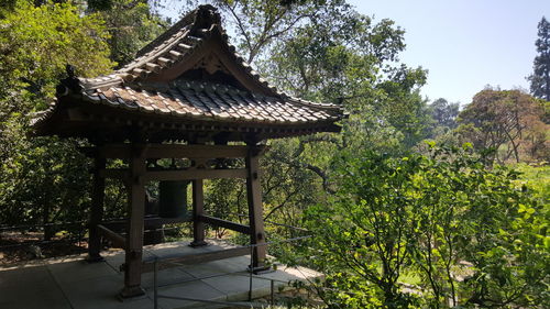 Gazebo in forest