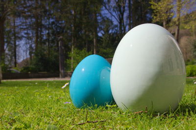 Close-up of blue balloons on field