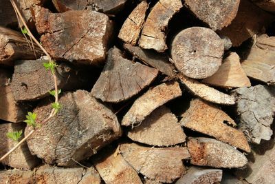 Full frame shot of logs