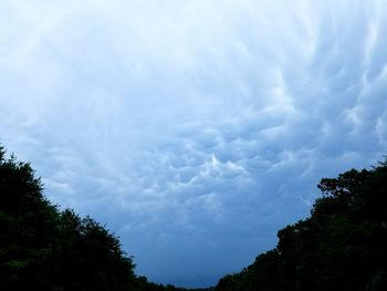 Low angle view of trees against cloudy sky