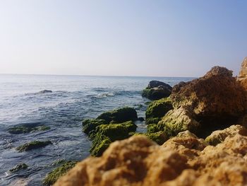 Scenic view of sea against clear sky