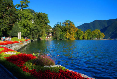 Scenic view of lake against blue sky