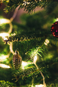 Close-up of christmas tree