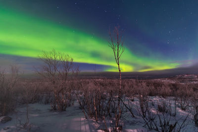 Scenic view of snow covered landscape against sky at night