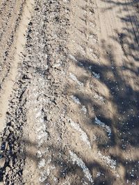 High angle view of tire tracks on sand