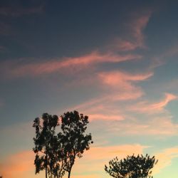 Low angle view of trees against cloudy sky