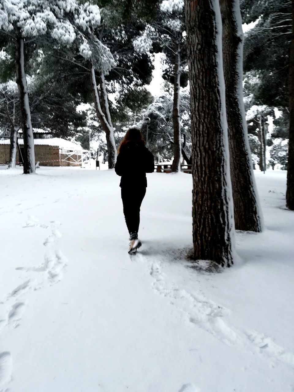 winter, tree, snow, cold temperature, full length, nature, rear view, weather, walking, outdoors, one person, beauty in nature, tree trunk, real people, day, people