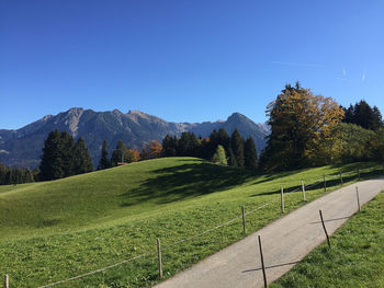 Scenic view of field against clear blue sky