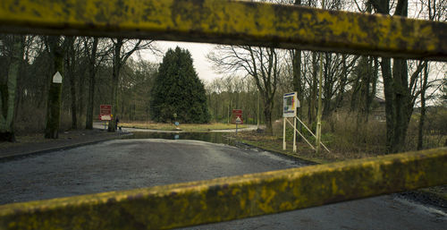 Footpath in park