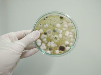 Cropped image of person holding bubble against white background