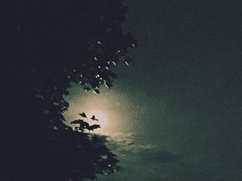 Low angle view of trees against sky