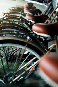 Close-up of man riding bicycle