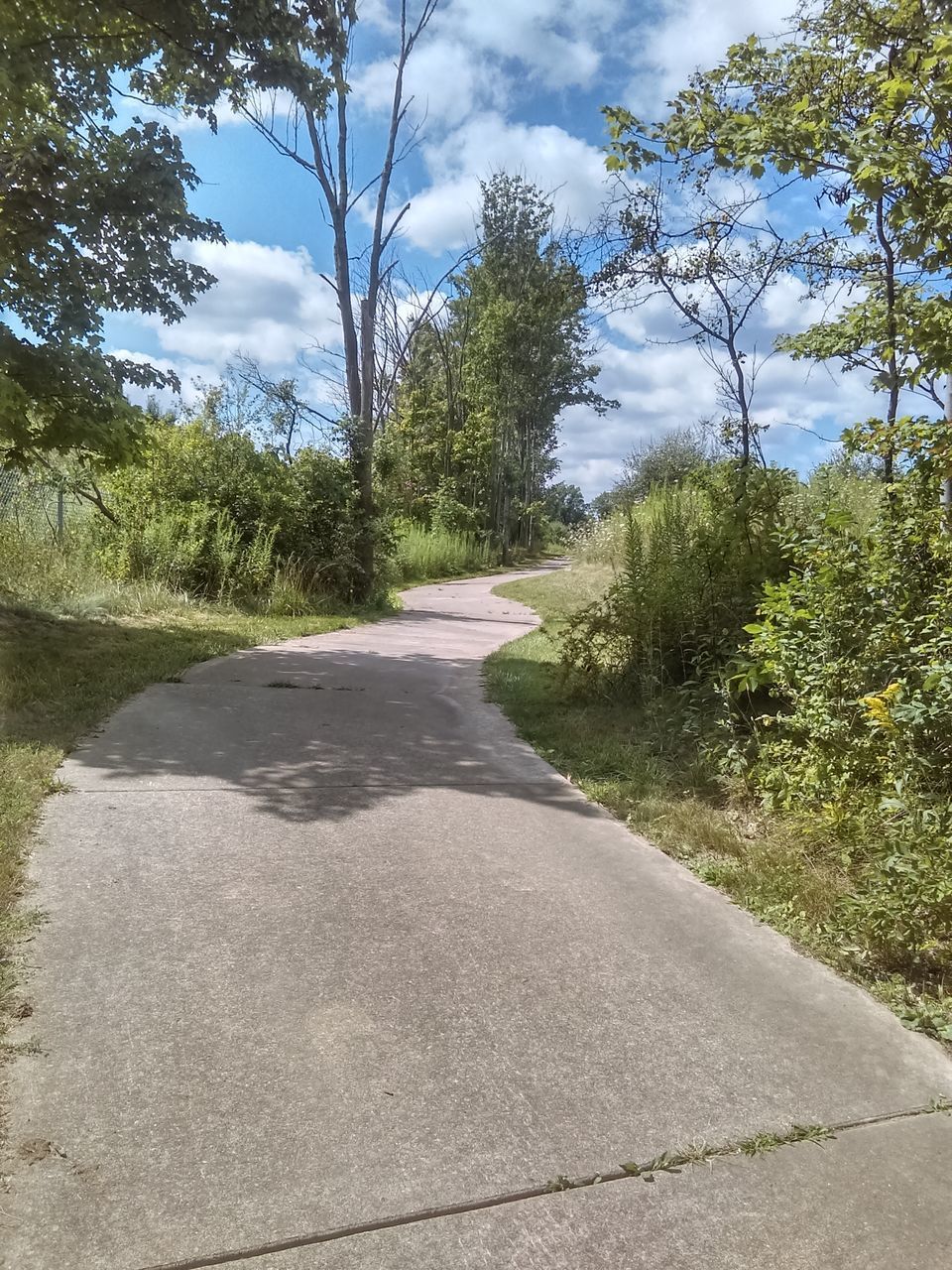 ROAD BY TREES ON LANDSCAPE AGAINST SKY