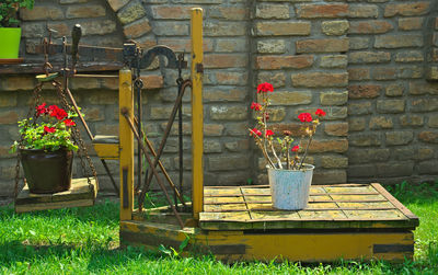 Potted plants against wall in yard