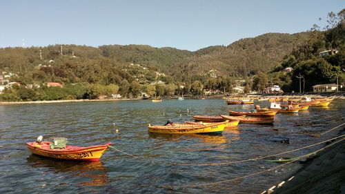 Scenic view of lake against clear sky